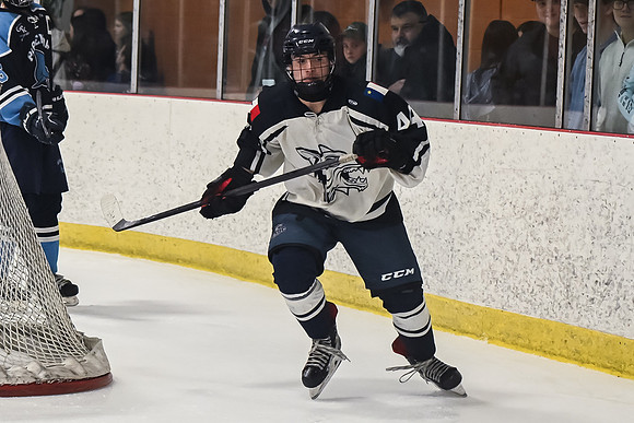 TIMBER CUP-67