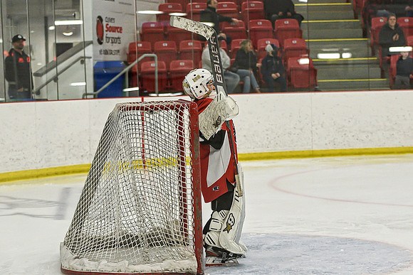 DSC_3446 copy