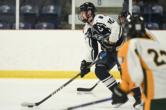 TIMBER CUP-16