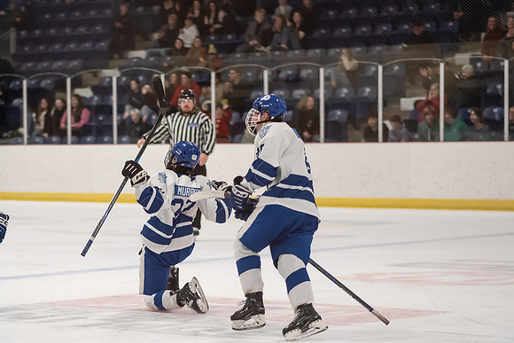 TIMBER CUP-173