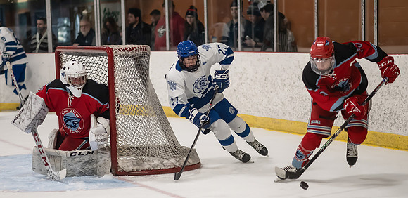 TIMBER CUP-46