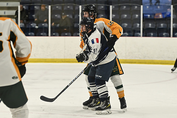 TIMBER CUP-114