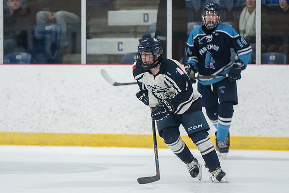 TIMBER CUP-39