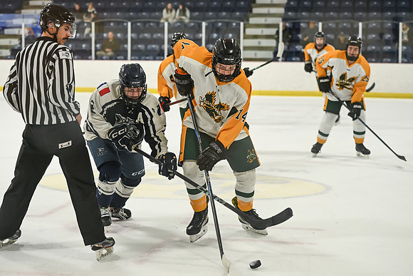 TIMBER CUP-168
