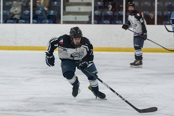 TIMBER CUP-24