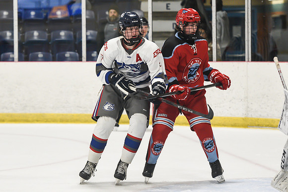 TIMBER CUP-17