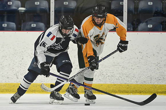 TIMBER CUP-110
