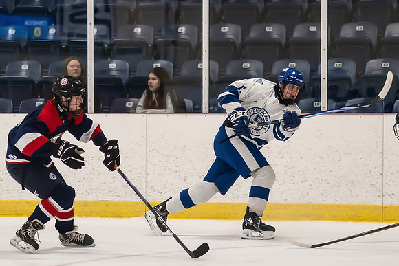 TIMBER CUP-46