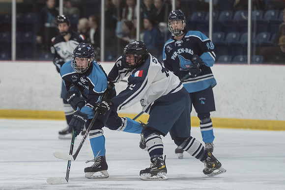 TIMBER CUP-8