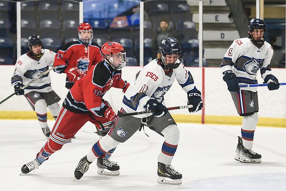 TIMBER CUP-19