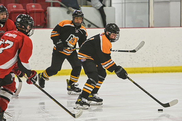 DSC_2762 copy