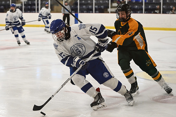 TIMBER CUP-37
