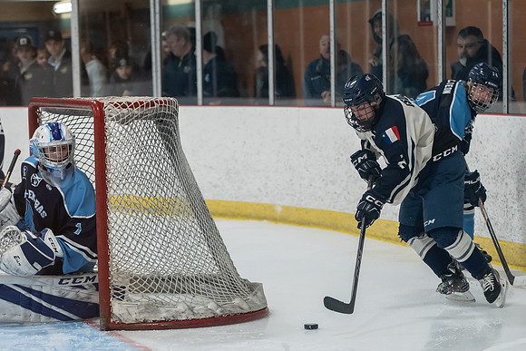 TIMBER CUP-11