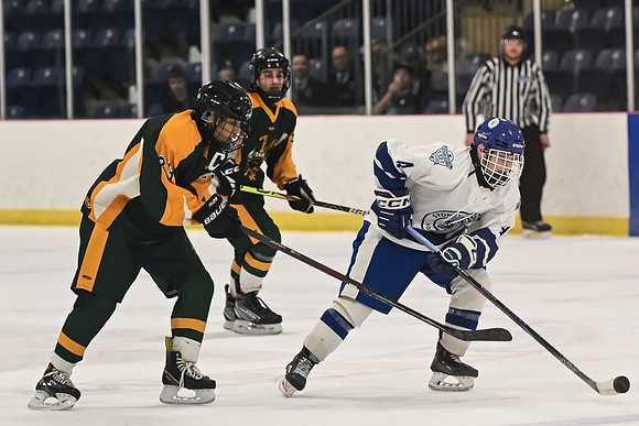 TIMBER CUP-77
