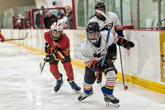 FLAMES VS CLARE-DIGBY-42 copy