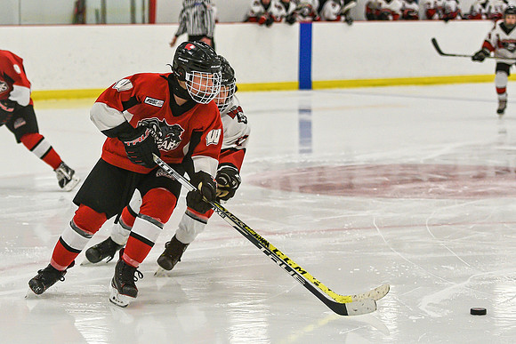 DSC_4230 copy