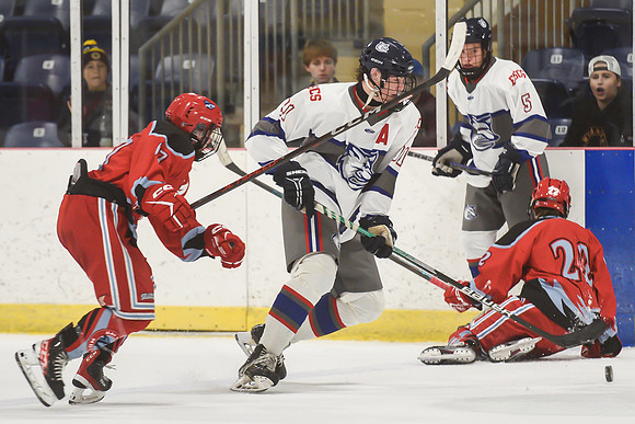 TIMBER CUP-62