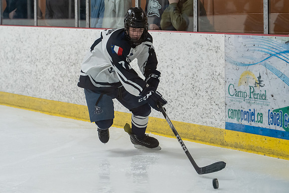 TIMBER CUP-15