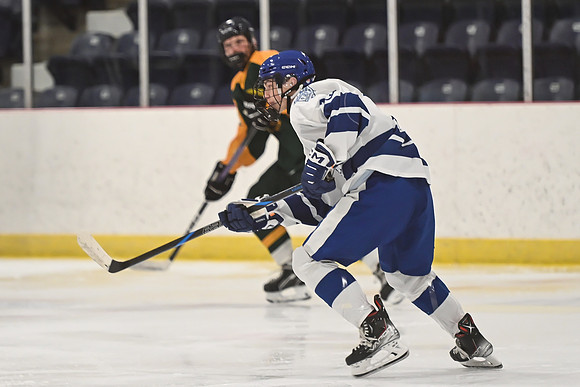 TIMBER CUP-6