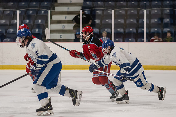 TIMBER CUP-23