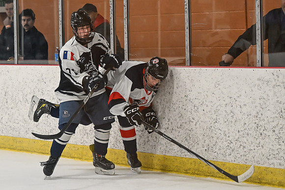 TIMBER CUP-153