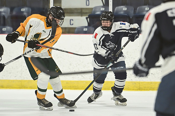TIMBER CUP-81