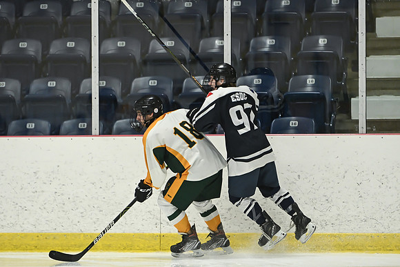 TIMBER CUP-177