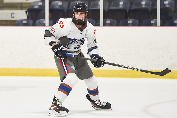 TIMBER CUP-28