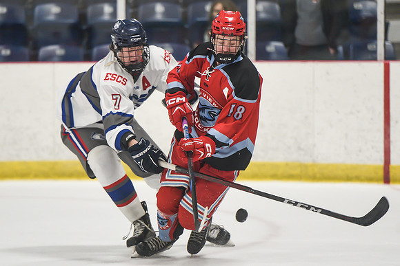 TIMBER CUP-14