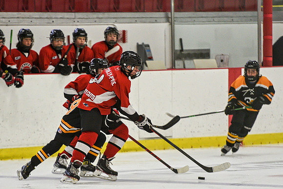 DSC_2781 copy