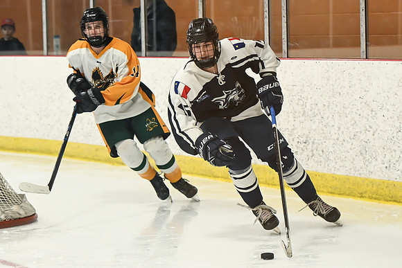 TIMBER CUP-7