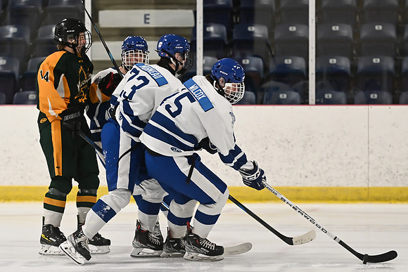 TIMBER CUP-9