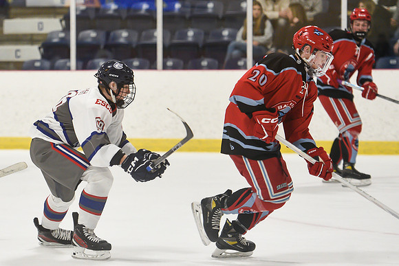 TIMBER CUP-207