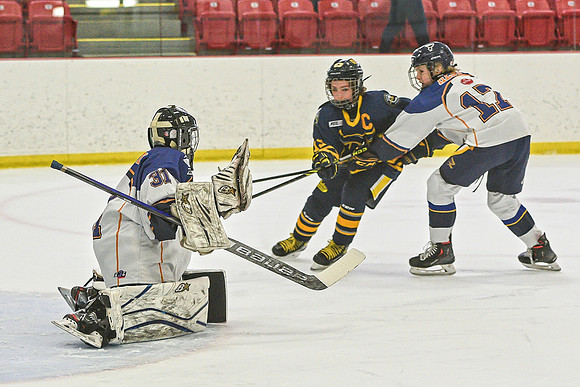 DSC_1167 copy