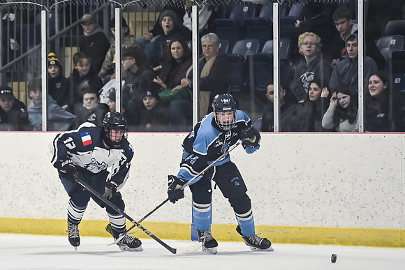 TIMBER CUP-60