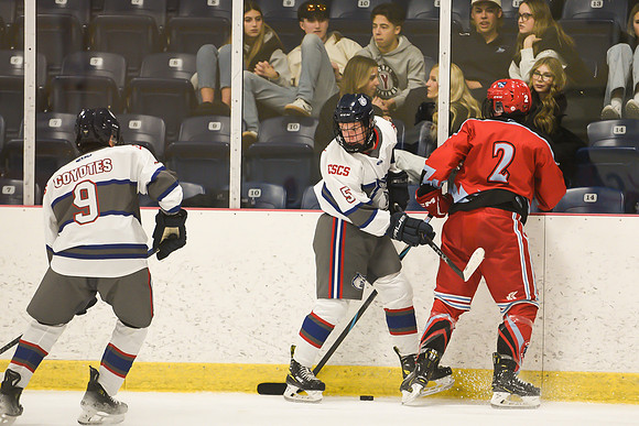 TIMBER CUP-134