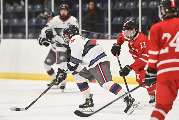 TIMBER CUP-4