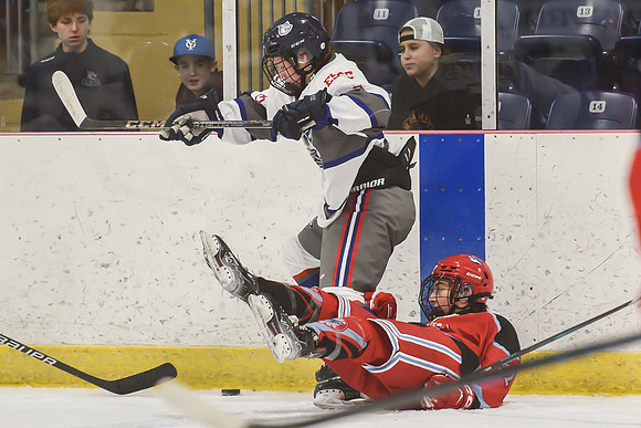 TIMBER CUP-61
