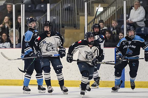 TIMBER CUP-51