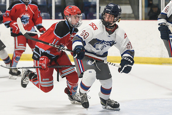 TIMBER CUP-20