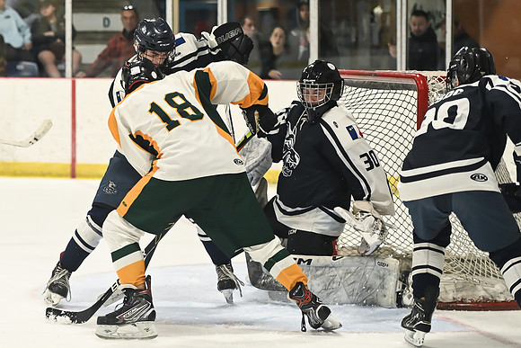 TIMBER CUP-56