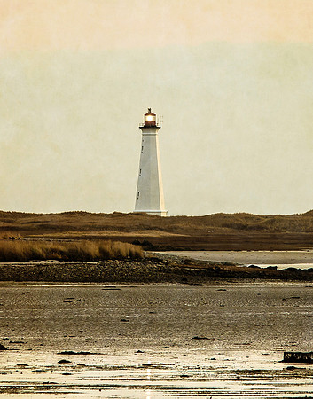 cape light 11x14 smart copy