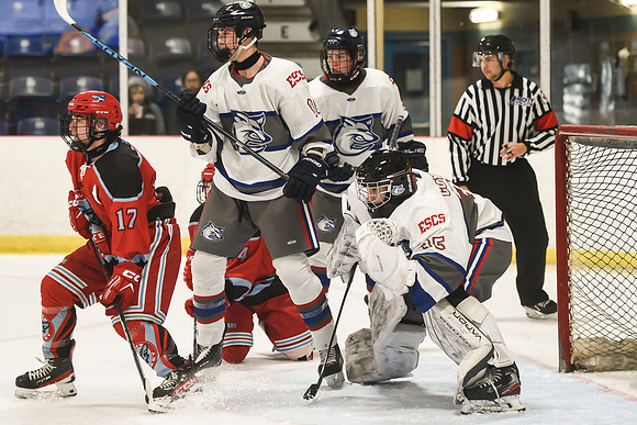 TIMBER CUP-119