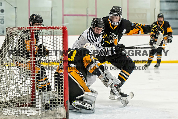 MARITIMES-186 copy