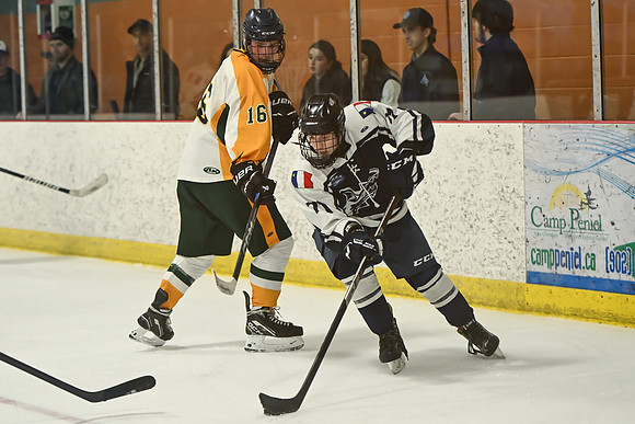 TIMBER CUP-159