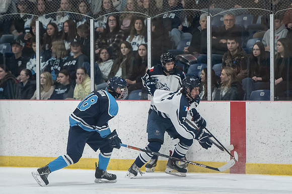 TIMBER CUP-32
