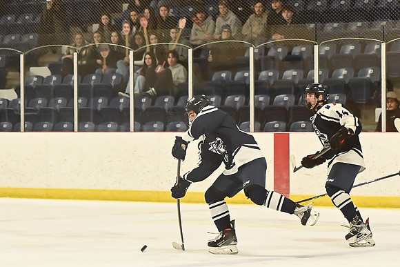 TIMBER CUP-61