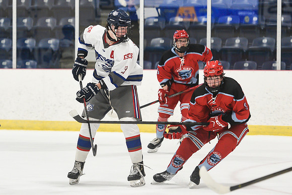 TIMBER CUP-4