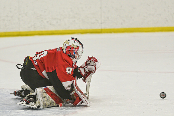 DSC_4115 copy