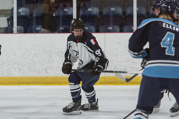 TIMBER CUP-19